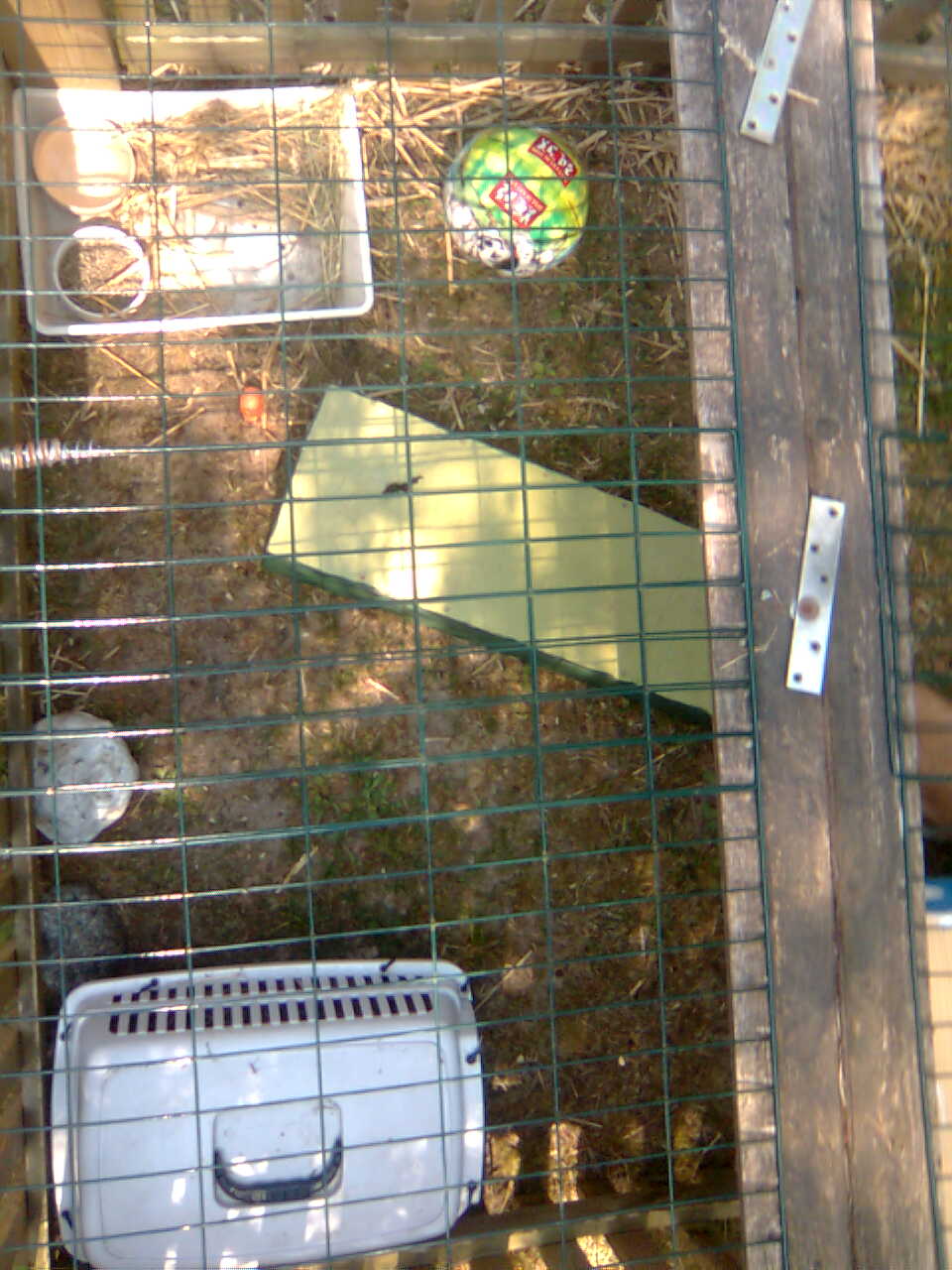 Hage2