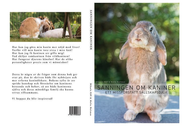 BOK: Sanningen om kaniner