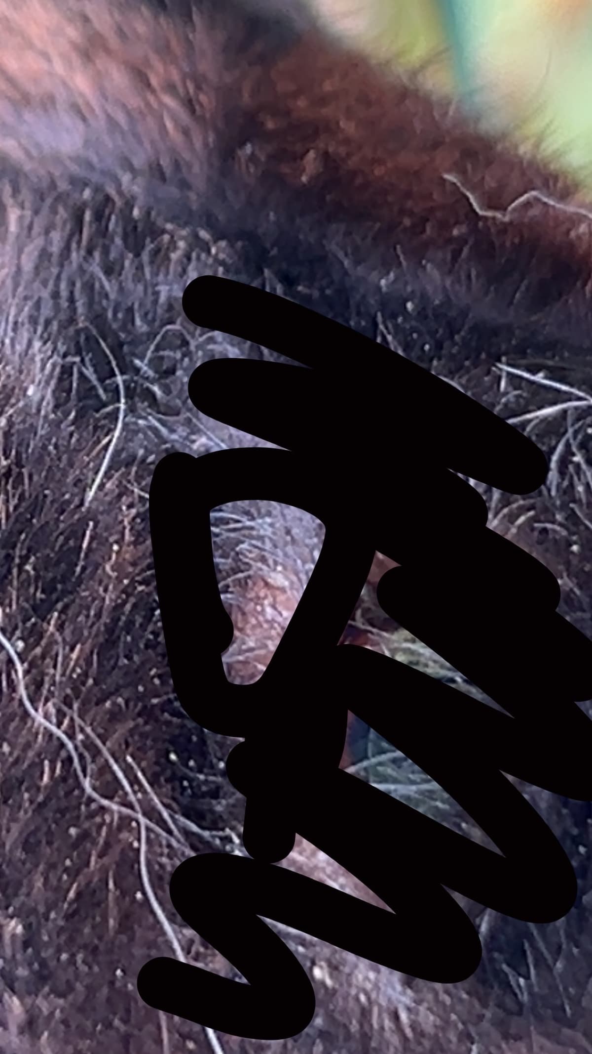 Orolig. Något som ser ut som en liten finne vid min kanins öga?