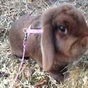 Wilma140